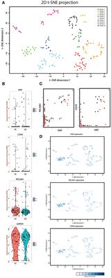 Single Cell RNA Sequencing Identifies HSPG2 and APLNR as Markers of Endothelial Cell Injury in Systemic Sclerosis Skin